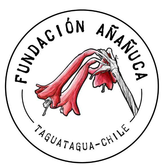 Fundación Añañuca